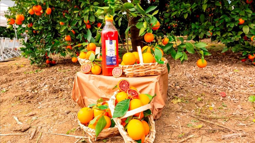 Resmen şifa deposu! Diyabeti önlüyor, böbrekleri temizliyor 4