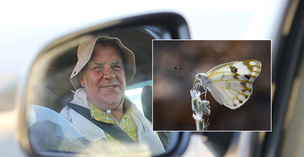 Siirtli taksicinin akılalmaz hikayesi! Kelebekler hayatını değiştirdi 1
