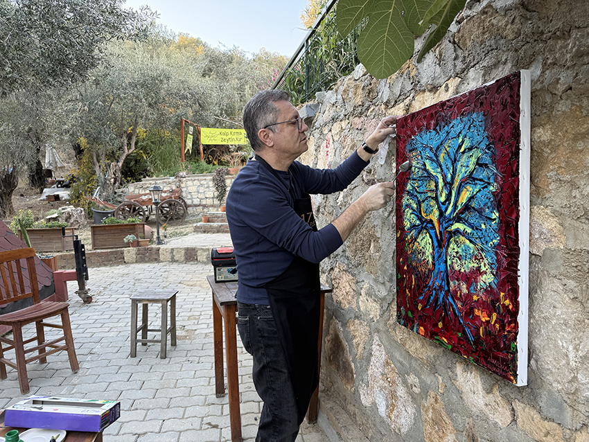 Oksijen diyarında zeytin hasadı 1