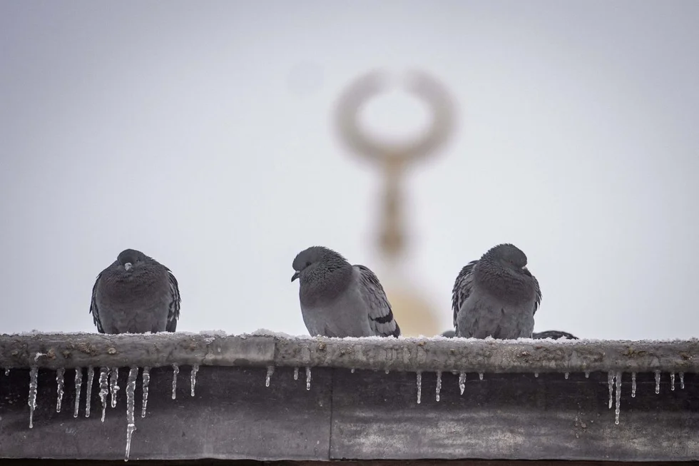 Sıcaklıklar 13 derece birden düşecek 20 ilde kar yağışı etkili olacak 6