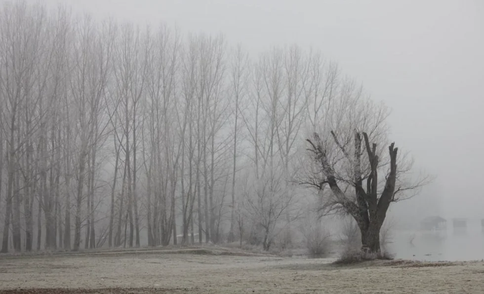 Yağmur ve soğuk hava çok sert geliyor! 45 il için yeni uyarı! 11 Aralık 2024 hava durumu tahminleri 7