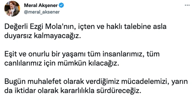 meral akşener ezgi mola twitter