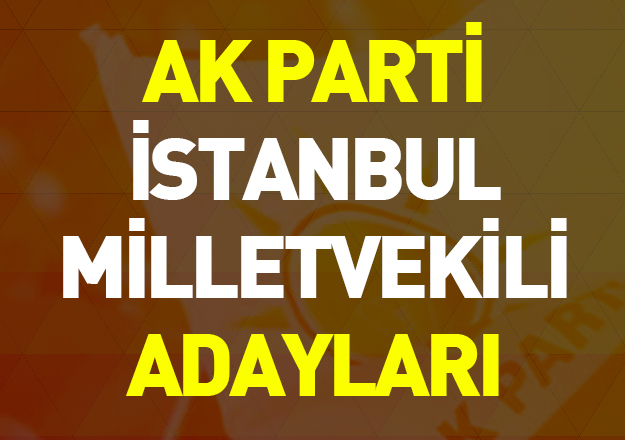 ak parti 24 haziran seçimleri istanbul milletvekili adayları