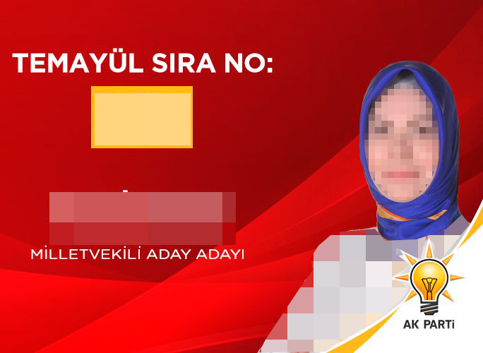 serpil emek ak parti