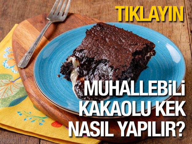 Gelinim Mutfakta Muhallebili Kakaolu Kek nasıl yapılır?