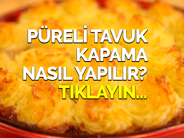 PÜRELİ TAVUK KAPAMA