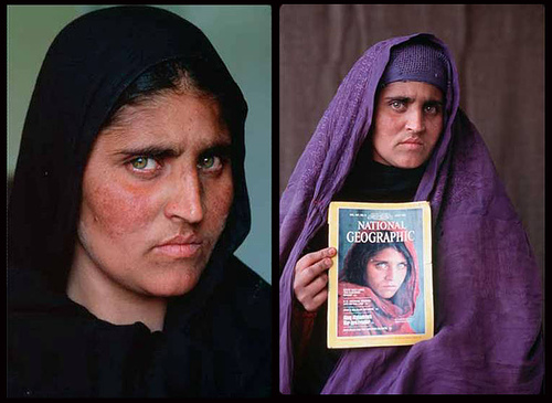 sharbat gula