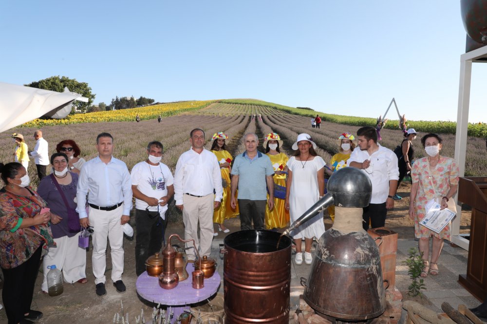 büyükçekmece lavanta hasat şenliği