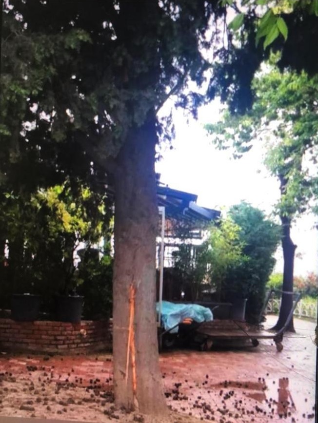 büyükçekmece yıldırım