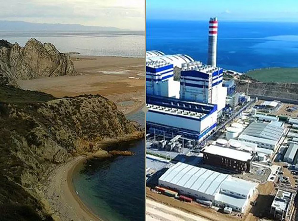 tema vakfı cengiz holding