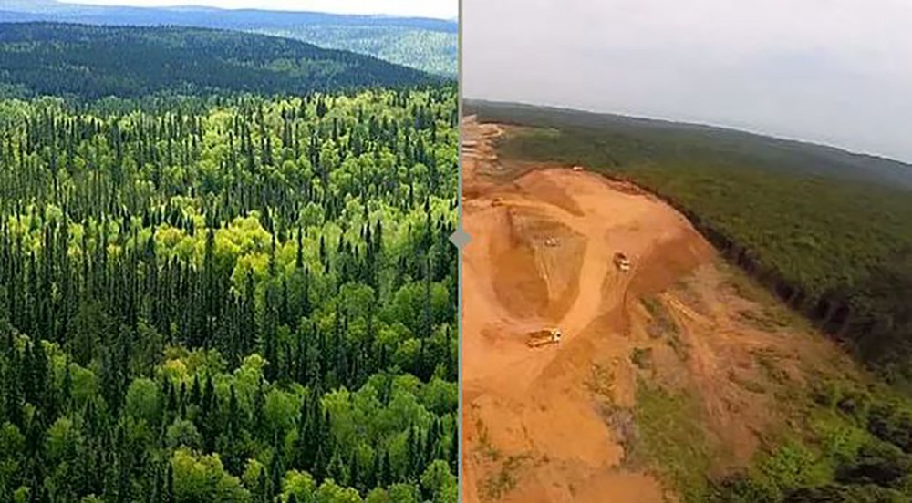 tema vakfı cengiz holding