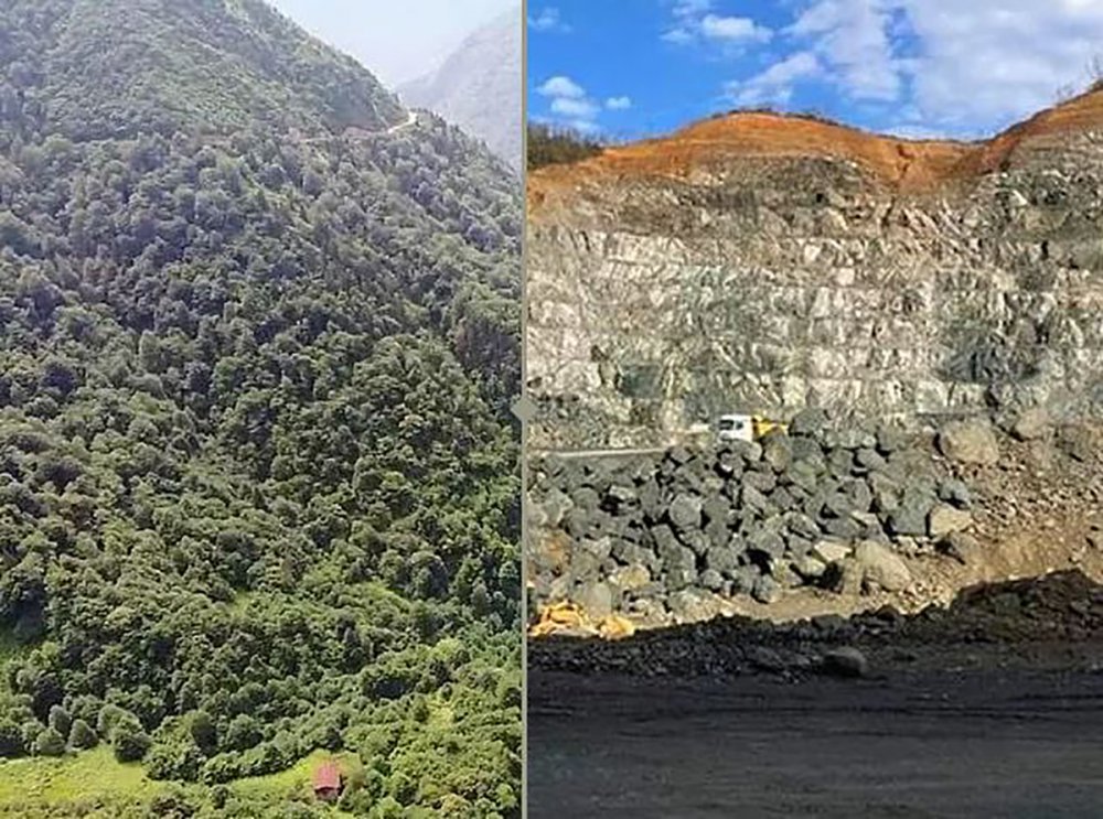tema vakfı cengiz holding