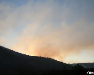 Hatay'ın Hassa ilçesindeki orman yangınına havadan ve karadan müdahale ediliyor
