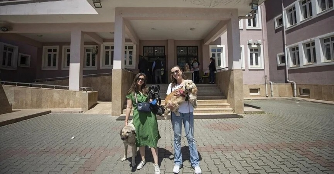 Tunceli'de hayvansever iki kadın can dostlarıyla sandık başına gitti