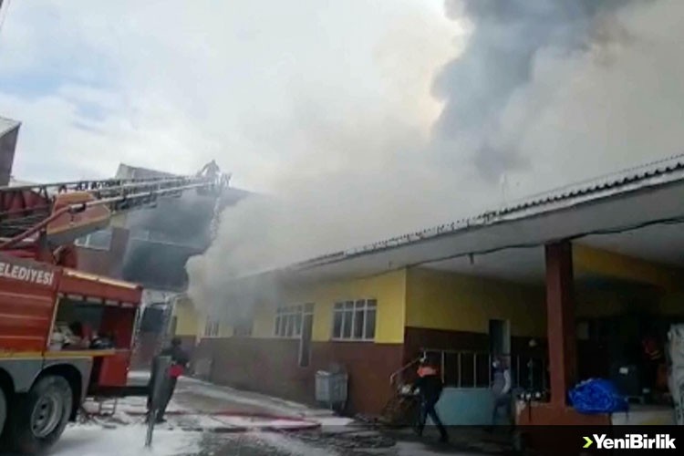 Artvin'de çay fabrikasında çıkan yangına müdahale ediliyor