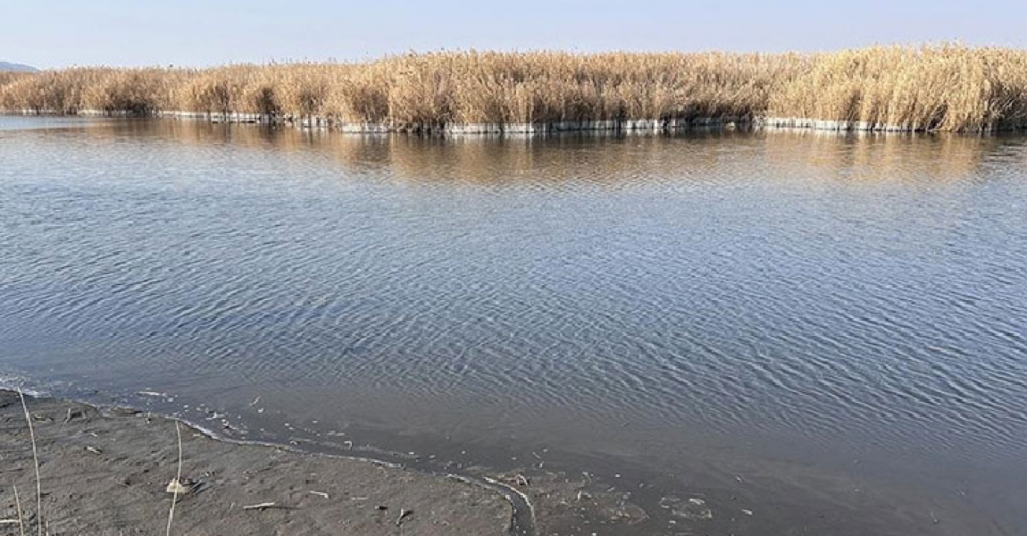 Iğdır'daki Karasu sulak alanında su seviyesi düştü
