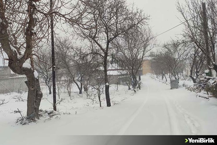 Mersin'in ilçelerinde kar yağışı etkili oluyor