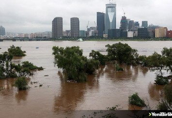 Güney Kore'de şiddetli yağış nedeniyle 8 kişi öldü