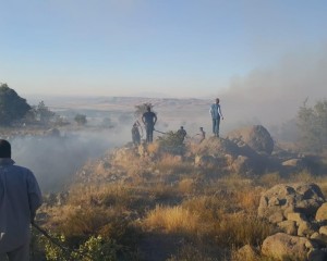 Aksaray'da Hasan Dağı'nda yangın paniği