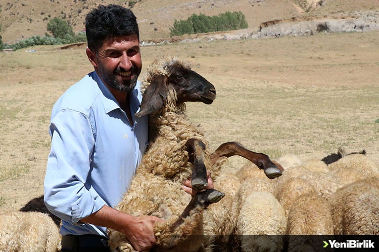 Bitlis'te polisler dağda kaybolan 55 koyunu dronla buldu