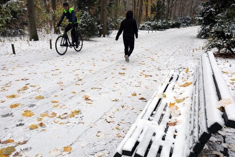 Almanya'da yoğun kar yağışı etkili oldu