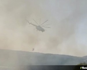 Manisa'da orman yangını çıktı
