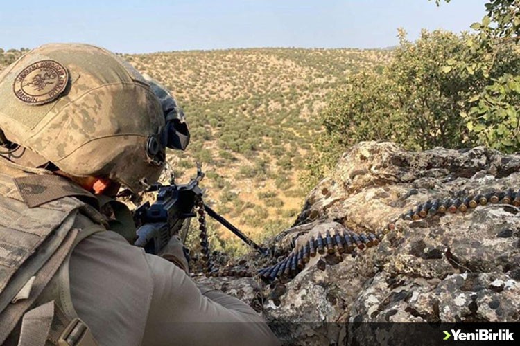 Mardin'de 'Eren Abluka-31 Şehit Jandarma Uzman Çavuş Ali Erdinç' operasyonu başlatıldı