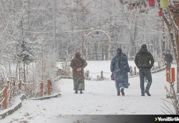 Doğu Anadolu'da kar, tipi ve soğuk hava etkili oluyor