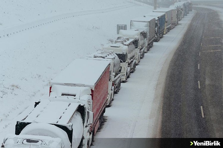 Polonya-Ukrayna sınırında kamyonlar nakliyecilerinin protestoları nedeniyle yaklaşık 10 gün bekliyor