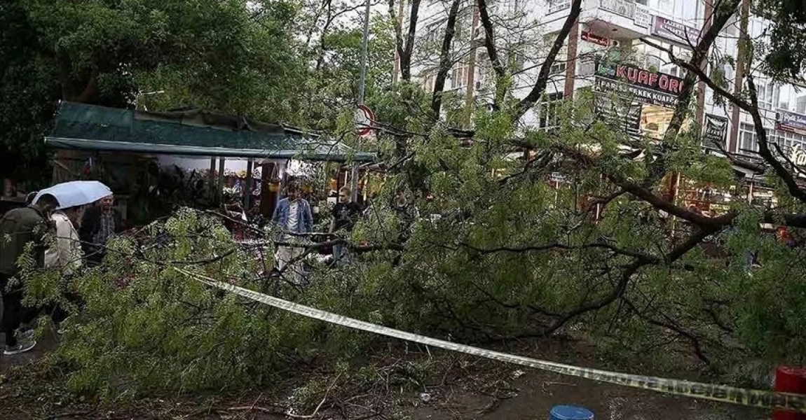 Başkentte şiddetli rüzgar ağaçları devirdi, çatıları uçurdu