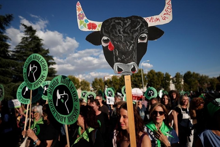 İspanya'da boğa güreşlerinin yasaklanması için Madrid'de gösteri düzenlendi