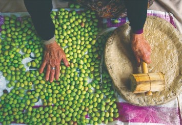 Geleneksel zeytin yetiştiriciliği UNESCO listesine alındı