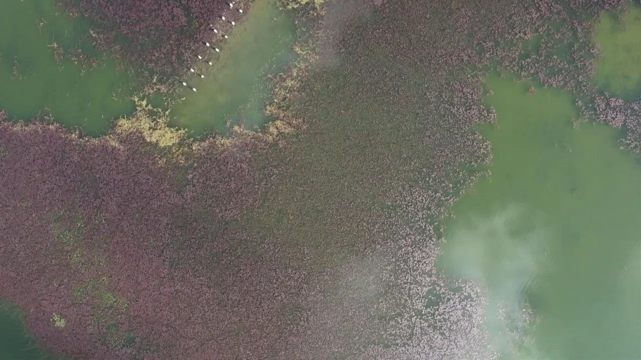 Terkos Gölü'nde Sonbaharın Renk Cümbüşü 3