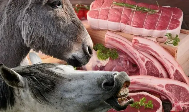 Türkiye’de Kırmızı Et Skandalı! At ve Eşek Eti En Çok Hangi İllerde Satıldı? 1
