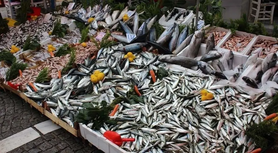 İstanbul'da hamsi fiyatları düştü, tezgahlar şenlendi! 7