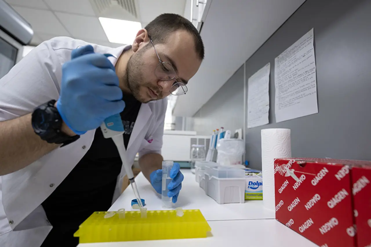 Obezite ve Karaciğer Yağlanmasına Çare Patates Böcekleri Olabilir! 3