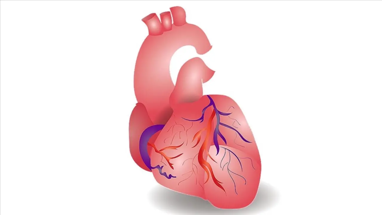 Türkiye Kalp Krizi Oranlarında Avrupa’yı Geride Bıraktı! Rakam Korkutucu 4