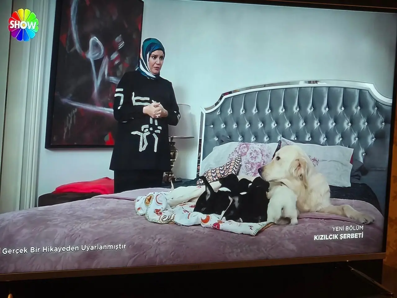 Kızılcık Şerbeti Sahnesi Olay Yarattı! Köpeklerden Hastalık Bulaşır mı? Sağlık Bakanlığı'ndan Açıklama Geldi 4