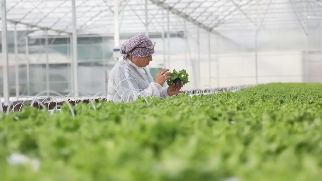 Psikolojik Hastalıklarda Yeni Proje Tarımla Terapi! Tarımla Terapi Nedir, İşe Yarıyor mu? 2