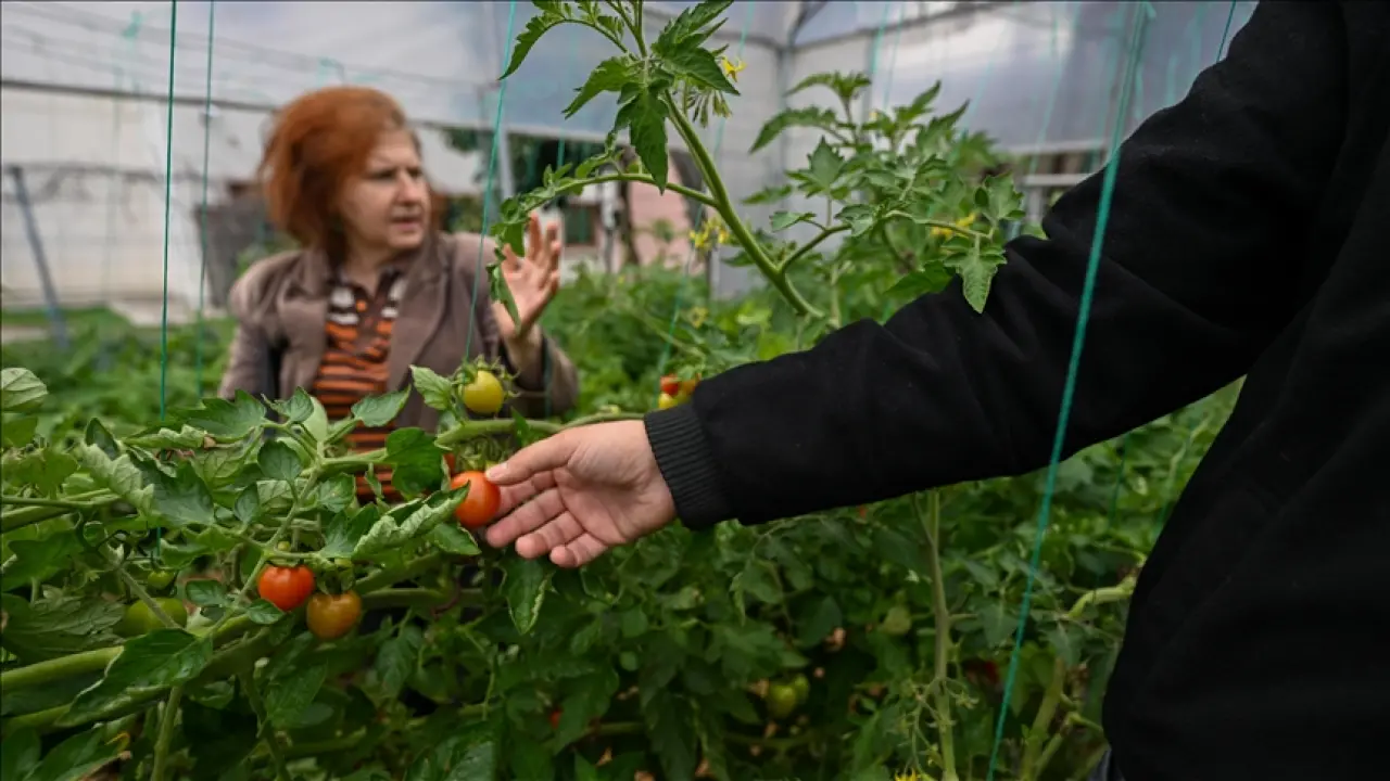 Psikolojik Hastalıklarda Yeni Proje Tarımla Terapi! Tarımla Terapi Nedir, İşe Yarıyor mu? 3