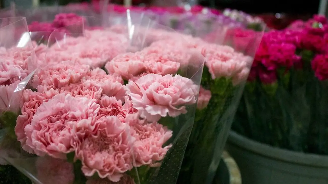 Led Işıklı Çiçekler Sevgililer Gününün Favorisi! Çiçek Fiyatları Ne Kadar, Hangi Çiçek Ne Anlama Geliyor? 4