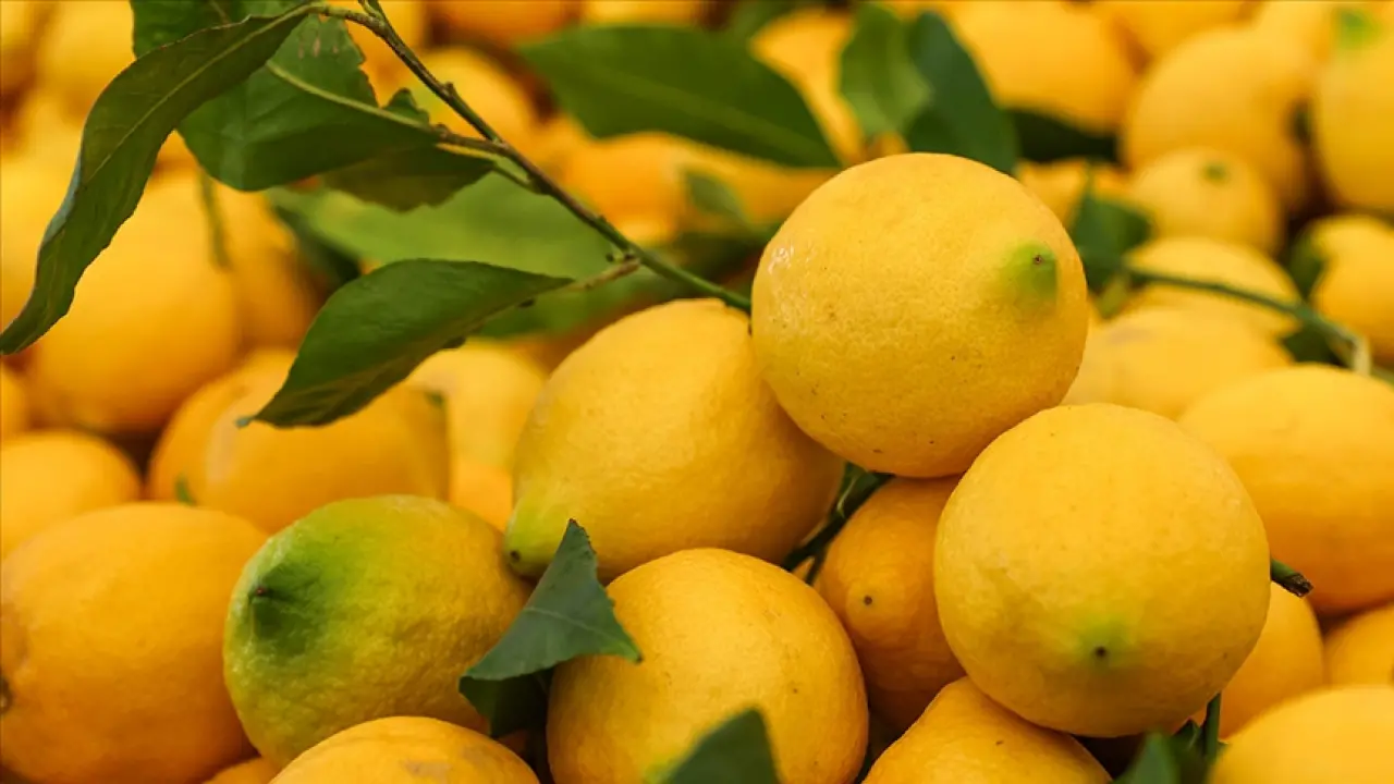 Tansiyon Tedavisinde Yeni Yöntem: Limon Değil Limon Kokusuyla Tedavi! 1