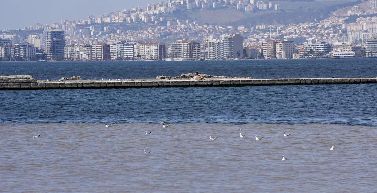 Skandal görüntüler! İzmir Körfezi'nde suyun rengi değişti kötü koku yayıldı 5