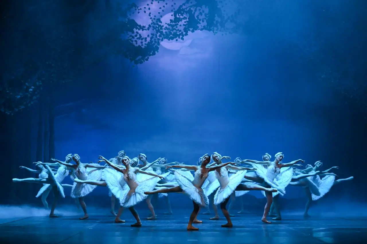 Türkiye sanatta altın çağını yaşıyor: Rekorlar kırıldı, yeni hedefler yolda! 6