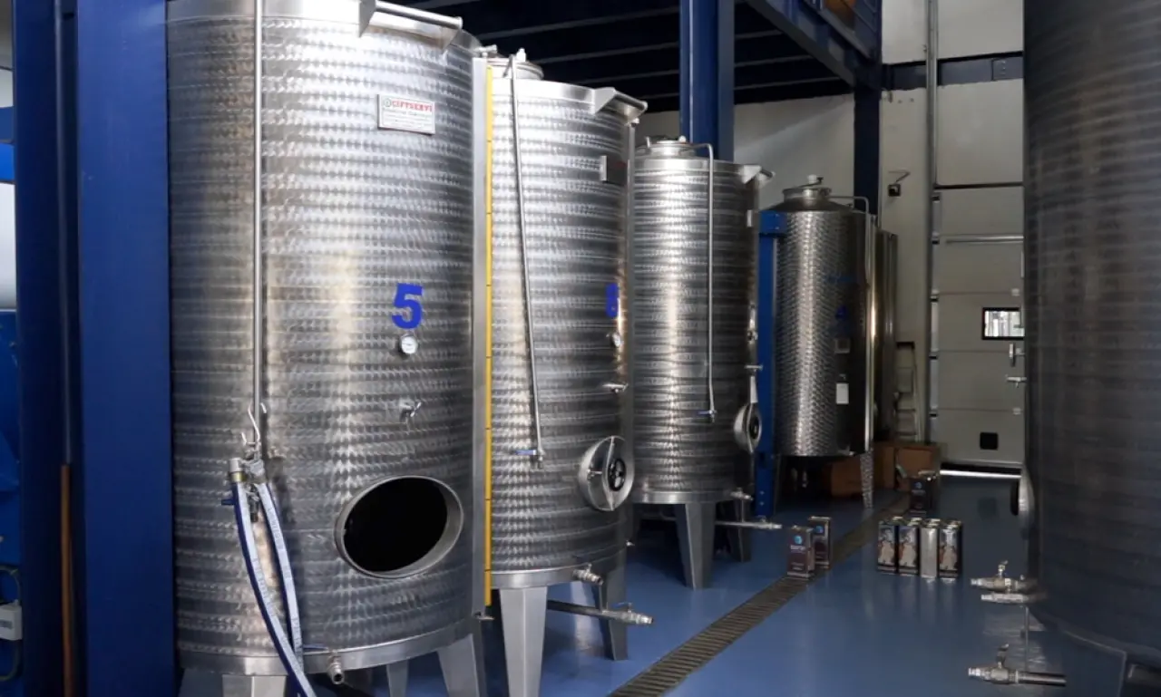 Zeytinyağı Nasıl Saklanmalı, Tenekede Zeytinyağı Saklamak Zararlı mı? Bilimsel Uyarı Geldi 1