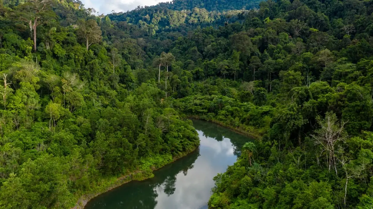 İnanılmaz Keşif! Amazon Ormanlarında 12.000 Yıllık Kayıp Gizemli Şehir Bulundu 3