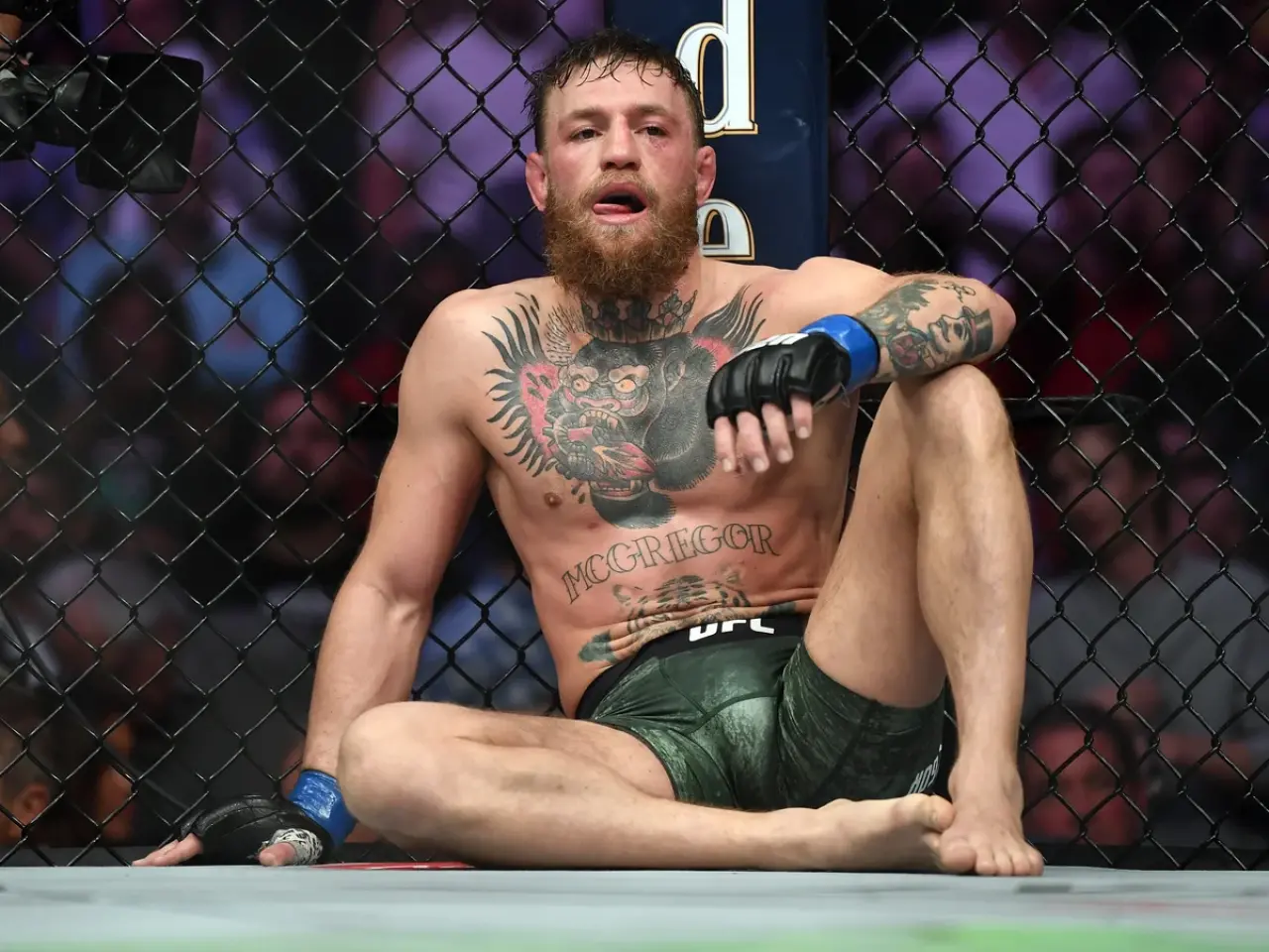 Conor McGregor, İrlanda Cumhurbaşkanlığına Adaylığını Açıkladı! UFC Şampiyonu Trump'ın İzinde 3