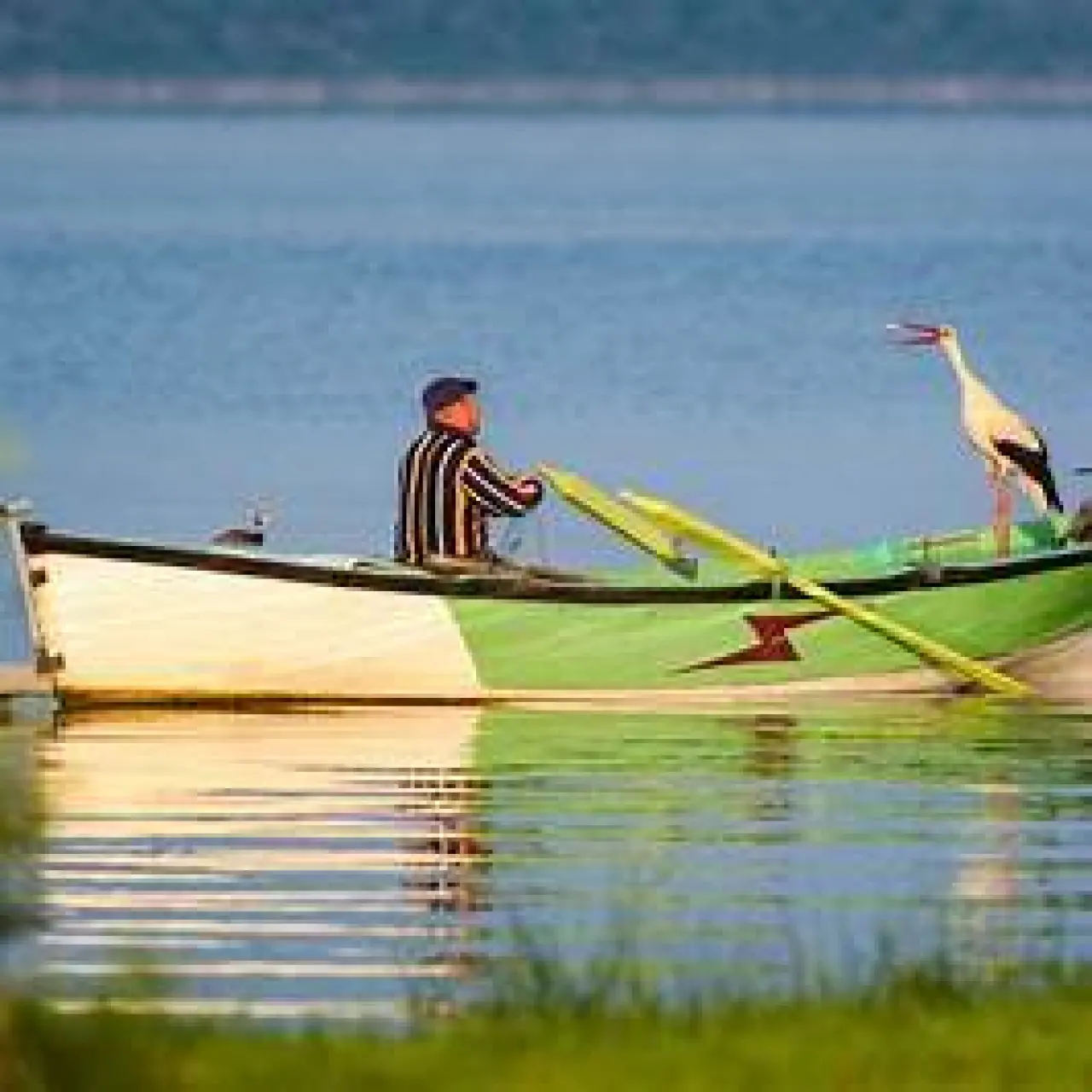 Ahmet Amca'nın 13 Yıllık Dostluğu Tehlikede Mi? Yaren Leylek Bu Yıl Neden Gelmedi? 2