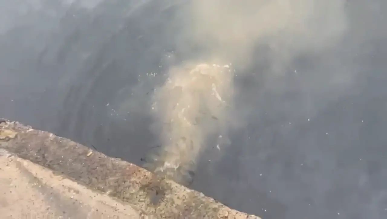 Marmara Denizi'nde kirlilik alarmı! İSKİ'ye ağır ceza 1