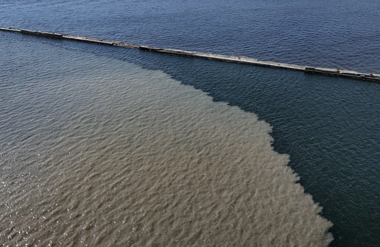 Skandal görüntüler! İzmir Körfezi'nde suyun rengi değişti kötü koku yayıldı 1